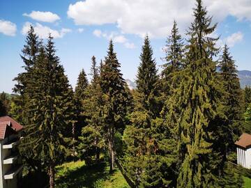 Фотографии Отели типа «постель и завтрак» Pension Montien Events & Society Resort г. Предял (Румыния) №5 Фото Отели типа «постель и завтрак» Pension Montien Events & Society Resort г. Предял 5