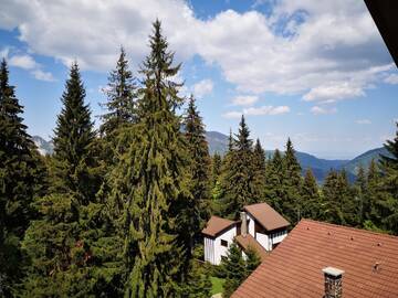 Фотографии Отели типа «постель и завтрак» Pension Montien Events & Society Resort г. Предял (Румыния) №3 Фото Отели типа «постель и завтрак» Pension Montien Events & Society Resort г. Предял 3