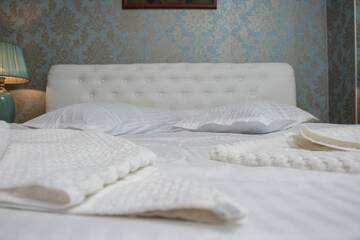 Фото номера Роскошный трехместный номер Отели типа «постель и завтрак» Villa Platinvm г. Предял 6