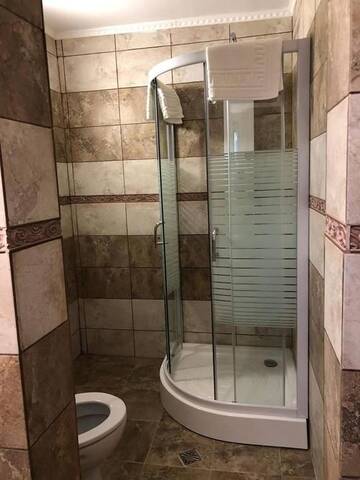 Фото номера Роскошный трехместный номер Отели типа «постель и завтрак» Villa Platinvm г. Предял 10
