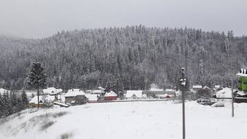 Фото номера Трехместный номер с видом на горы Проживание в семье Casa Ticino Predeal г. Предял 2