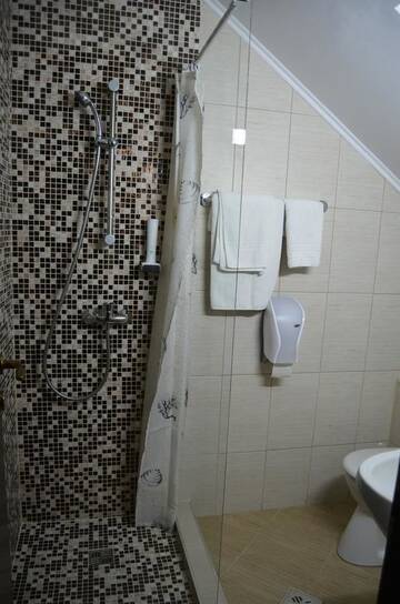 Фото номера Двухместный номер с 1 кроватью Гостевой дом Pensiunea Pasul Clabucetului г. Предял 5