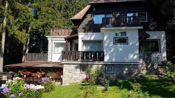 Фото номера Вилла Шале Vila Filip г. Предял 41