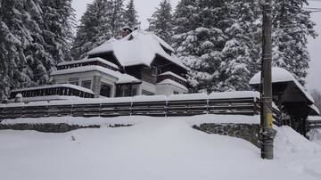 Фото номера Вилла Шале Vila Filip г. Предял 58