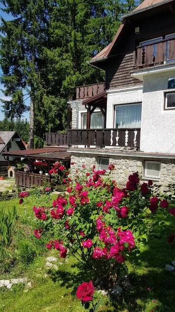 Фото номера Вилла Шале Vila Filip г. Предял 167
