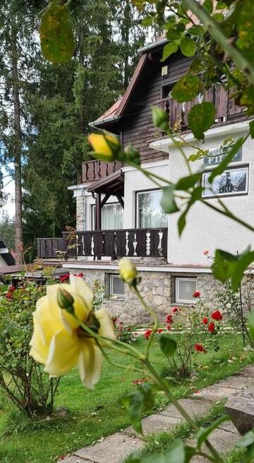 Фото номера Вилла Шале Vila Filip г. Предял 199