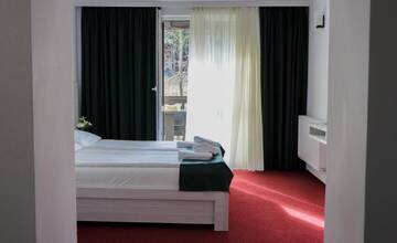 Фото номера Двухместный номер с 1 кроватью и балконом Отель Hotel Cirus г. Предял 8