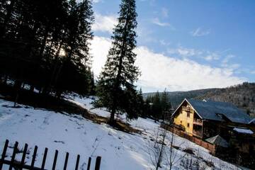 Фото номера Вилла с 3 спальнями Виллы Vila Bearpeak г. Предял 53