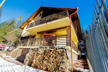 Фото номера Вилла с 3 спальнями Виллы Vila Bearpeak г. Предял 55