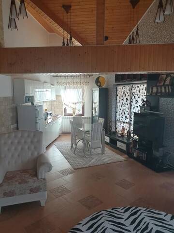 Фото номера Вилла с 2 спальнями Виллы Vila Bearpeak г. Предял 12