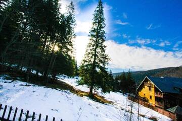 Фото номера Вилла с 3 спальнями Виллы Vila Bearpeak г. Предял 66