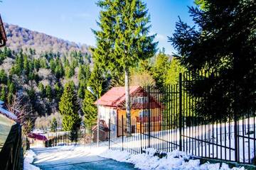 Фото номера Вилла с 3 спальнями Виллы Vila Bearpeak г. Предял 46
