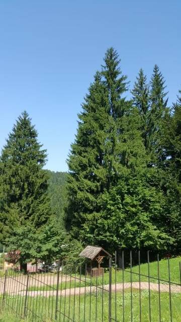 Фото номера Вилла с 3 спальнями Виллы Vila Bearpeak г. Предял 27