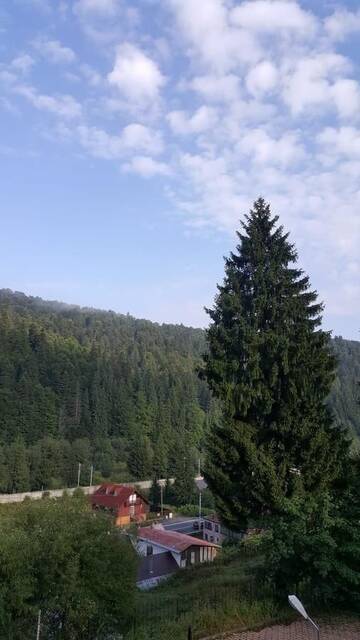 Фото номера Вилла с 3 спальнями Виллы Vila Bearpeak г. Предял 26
