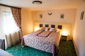 Фото номера Двухместный номер с 1 кроватью и балконом Отель Hotel Draga Maria г. Предял 13