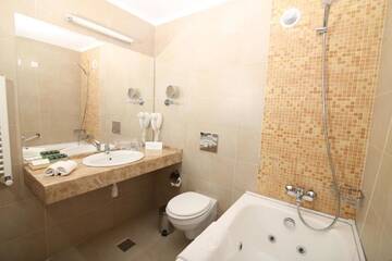 Фото номера Two Bedroom Suite 4**** Отель Hotel Carmen г. Предял 5