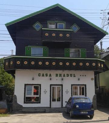 Фото Гостевой дом Pension Casa Bradul г. Предял 1