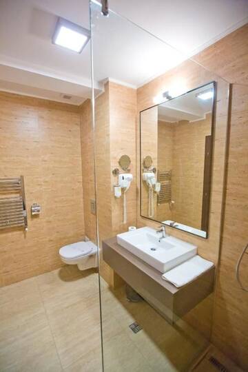 Фото номера Представительский двухместный номер с 1 кроватью Отель Hotel Piemonte г. Предял 5