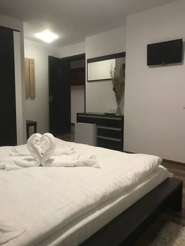 Фото номера Двухместный номер с 1 кроватью Гостевой дом Vila Dor de Munte Predeal г. Предял 3