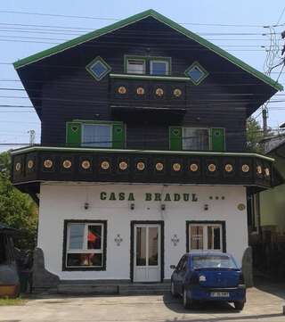 Фото Гостевой дом Pension Casa Bradul г. Предял